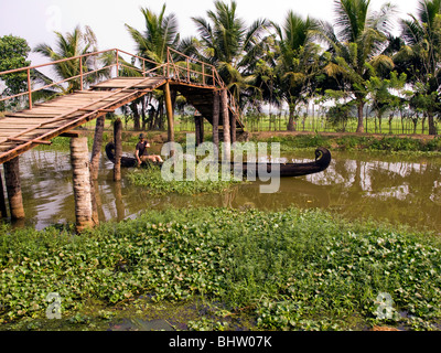 L'Inde, le Kerala, Alappuzha, Chennamkary, ouest de canot en bois pagaie visiteur grâce à l'eau dormante Banque D'Images