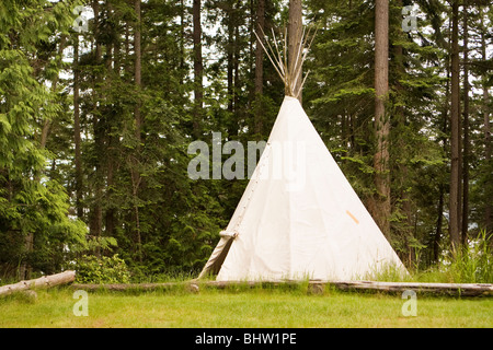 Un seul et unique tipi dans un champ. Banque D'Images