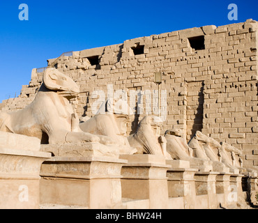 Ram de statues dans le temple de Karnak à Louxor, Egypte. Banque D'Images