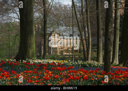 Champ de tulipes, le château de Grand-Bigard, la province de Brabant, Belgique Banque D'Images