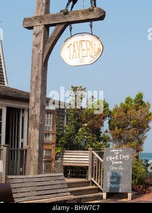 The Black Dog Tavern à Vineyard Haven sur Martha's Vineyard, Massachusetts, USA Banque D'Images