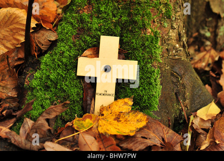 Un 'En souvenir' cross placé à côté d'un arbre sur un champ de bataille de la Première Guerre mondiale à Ypres, en Flandre orientale, Belgique. Banque D'Images