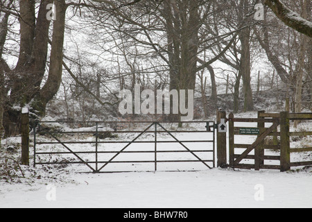 Sentier hivernal couvert de neige, Parkhill Wood, Lochwinnoch, Écosse, Royaume-Uni Banque D'Images