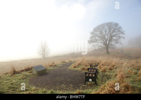 Brume sur un sentier de campagne, Lochwinnoch, Renfrewshire, Écosse Royaume-Uni Banque D'Images