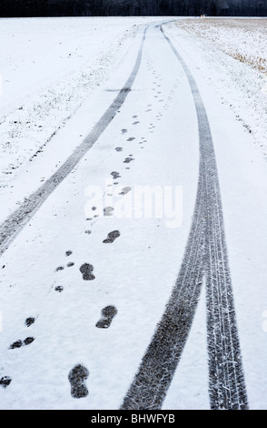 Les traces de pneus, empreintes humaines et animales sur une route enneigée menant à des bois sombres. Phares d'une voiture au loin. Banque D'Images