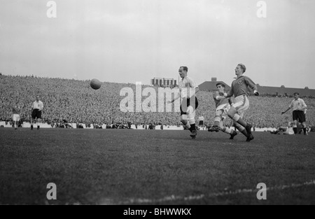 Accueil International Championnat et de la Coupe du Monde 1954 match de qualification à Ninian Park, Cardiff. Pays de Galles v Angleterre 1 4. L'Angleterre Banque D'Images