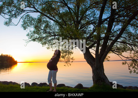 Silohuette de femme enceinte au coucher du soleil, Clear Lake, Manitoba, Canada Banque D'Images