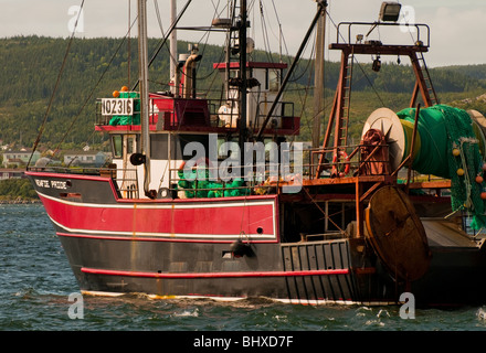 Terre-neuve, bateaux de pêche commerciale, des pièges et des filets. Le port de Saint Antoine. Village de Saint Anthony Banque D'Images