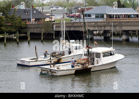 Bateaux de la baie de Chesapeake à Cambridge Creek Banque D'Images