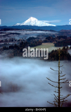 Mount Hood et Bull Run de Bluff Road Sandy Oregon Banque D'Images