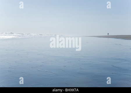 L'homme prend une promenade sur la plage de Whatipu, Nouvelle-Zélande Banque D'Images