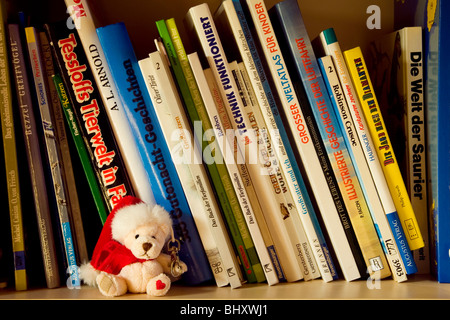 Les livres pour enfants avec bear Banque D'Images