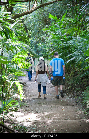 Les touristes le trekking Santa Ana, volcan Cerro Verde, El Salvador Banque D'Images