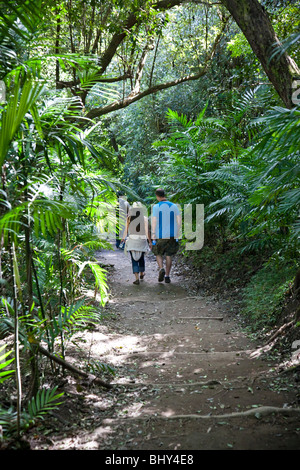 Les touristes le trekking Santa Ana, volcan Cerro Verde, El Salvador Banque D'Images