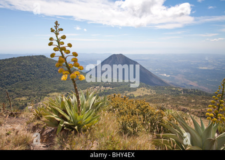 Volcan Izalco, Cerro Verde, El Salvador Banque D'Images