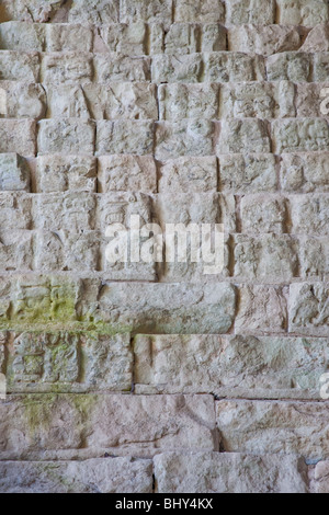 Jeroglifica Escalinata, escalier hiéroglyphique, Copan Ruinas, Honduras Banque D'Images