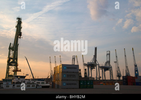 Les grues. Anvers port industriel. La Belgique. Banque D'Images