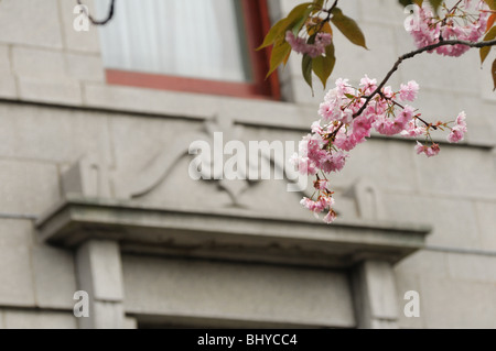 Diverses vues de Union Terrace Gardens dans le centre de Aberdeen Ville d'Ecosse UK Banque D'Images