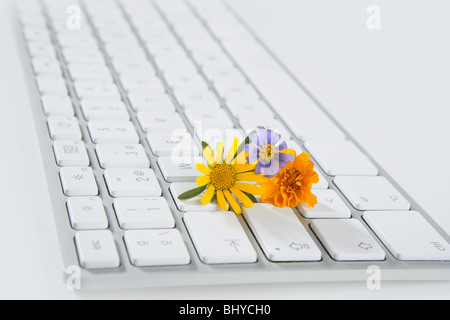 Concept de fleurs en croissance à partir de l'ordinateur, de l'écologie métaphore Banque D'Images