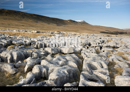 Une vue d'hiver de Whernside, dans le Yorkshire Dales National Park, à partir de l'échelle de lapiez Moor Banque D'Images