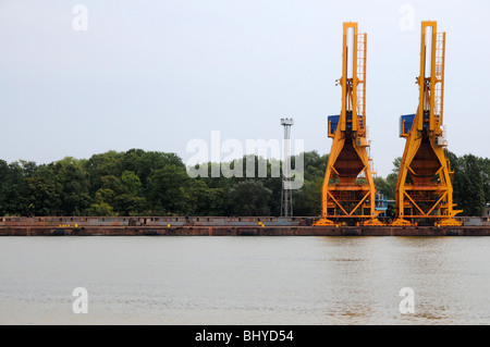 Grues sur le côté droit de l'étroite rivière porcine, à Swinoujscie, Pologne Banque D'Images