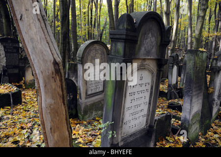 Au cimetière juif historique Rue Okopowa à Varsovie, Pologne Banque D'Images