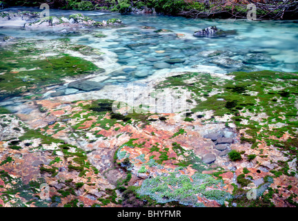 Peu au nord de la rivière avec des rochers colorés Santiam et piscines. Opal Creek Scenic Zone de loisirs, Oregon Banque D'Images