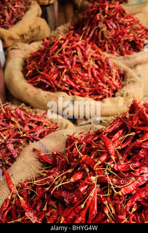 Sacs de piments séchés. Kollam, Kerala, Inde Banque D'Images