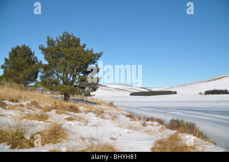 Scène d'hiver écossais de réservoir de remous, Angus, Glen Isla. Banque D'Images