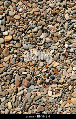 Peu de texture de fond de mer pierres plage littoral Banque D'Images