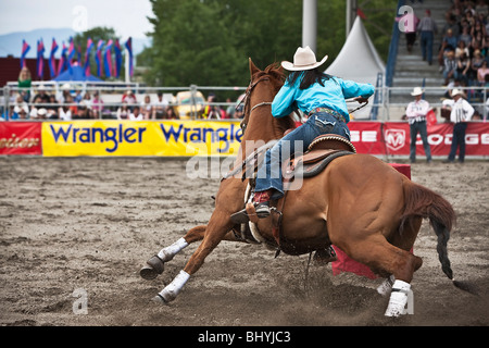 Équitation Cowgirl Rodéo chevaux pendant un Banque D'Images