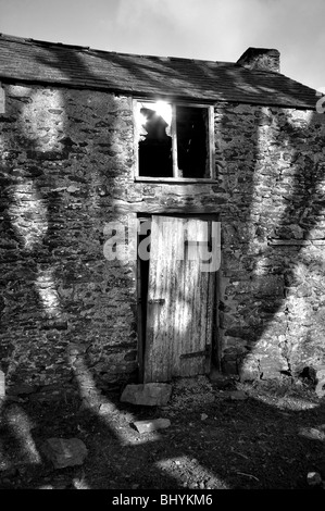 Ancienne grange avec gallois étrange ombre d'arbre en noir et blanc Banque D'Images