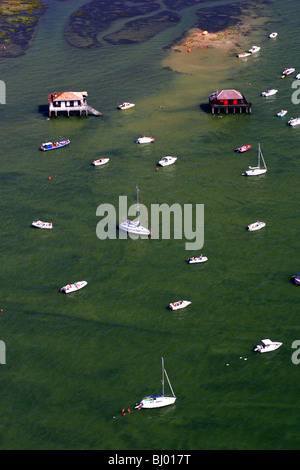 Arcachon (33) : 'L'Ile aux Oiseaux' (île aux Oiseaux) Banque D'Images