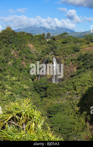 'Opaeka'un tombe sur Kauai, Hawaii. Banque D'Images