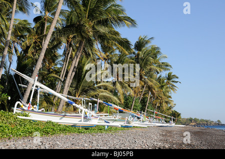 Cocos nucifera, Outrigger-Canoes traditionnel sur la plage tropicale et de cocotiers, Tulamben, Bali, Indonésie, Indopacific Ocean Banque D'Images