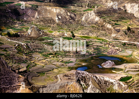 Paysage péruvien près de Canyon de Colca, Pérou, Amérique du Sud Banque D'Images