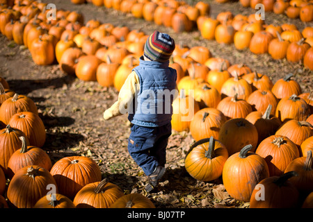 Jeune garçon à un potager. Banque D'Images