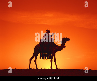 Camel et rider en silhouette au coucher du soleil de l'Égypte, l'Afrique du Nord Banque D'Images