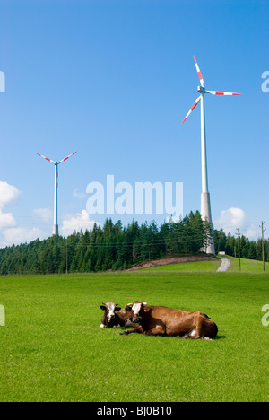 Les vaches reste devant le parc éolien dans Moosenmattle, Schiltach, Allemagne Banque D'Images