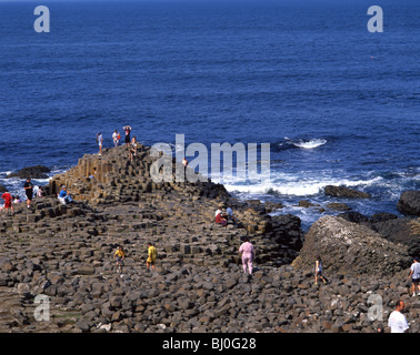 Le Giant's Causeway, comté d'Antrim, en Irlande du Nord, Royaume-Uni Banque D'Images