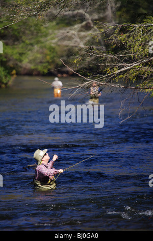 Personnes âgées pêcheur retraité EN ESSAYANT D'OBTENIR LA LIGNE DE MOUCHE ET LEURRE EN ARBRE SNAG TOCCOA TANGLE RIVER GÉORGIE Banque D'Images