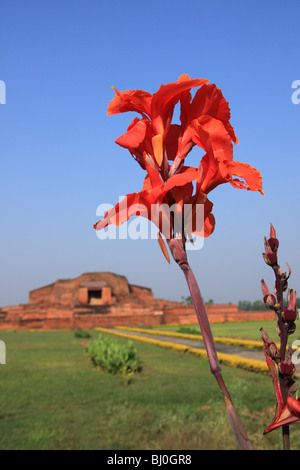 Vikramshila University en Inde Banque D'Images