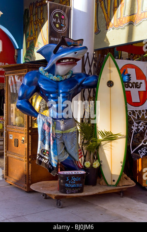 Art requin Store Front Banque D'Images