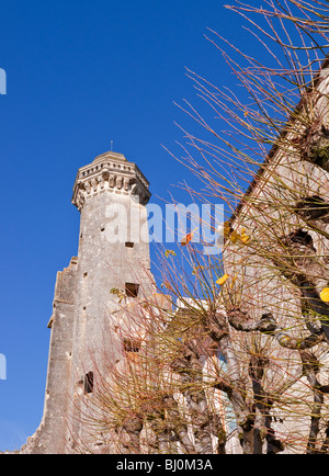 16e siècle en pierre, la tour octogonale du Château Le Grand-Pressigny, sud-Touraine, France. Banque D'Images