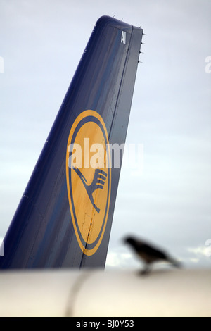 Dérive d'un avion avec le logo de la Lufthansa Airlines Banque D'Images