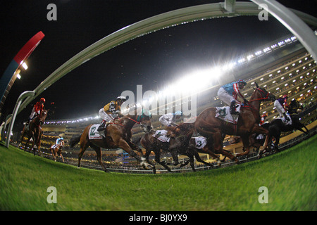 Chevaux et cavaliers lors d'une course, à Hong Kong, Chine Banque D'Images