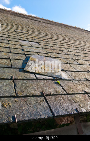 Glissé sur ardoise toiture maison ancienne, France. Banque D'Images