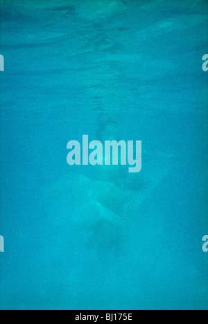 Une femme sous l'eau Banque D'Images