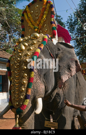 Éléphant à Varkala Kerala Inde festival du temple Banque D'Images