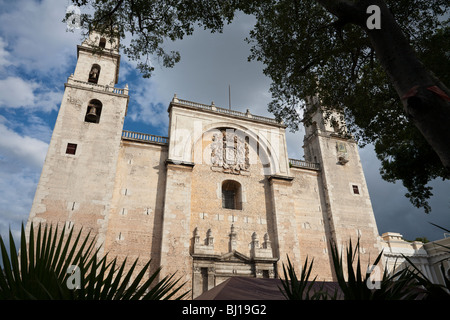 La façade de la cathédrale de San Idelfonso. La plus vieille cathédrale de Mexico Banque D'Images